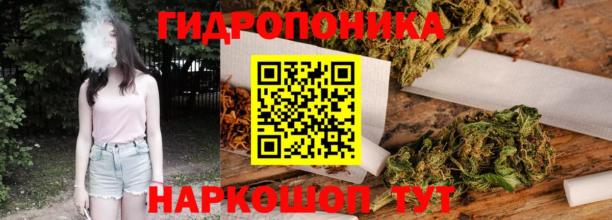 МАРИХУАНА планчик  Бошки Шишки AK-47  Конопля Amnesia  Осинники  Бошки марихуана индика  Вход с VPN 